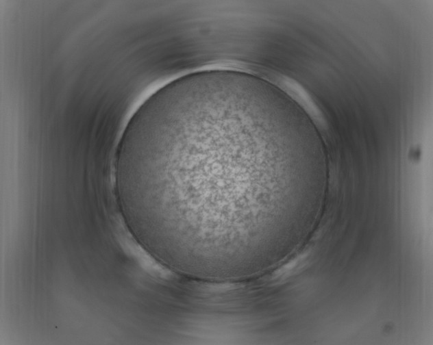 X0000092031292200709271602