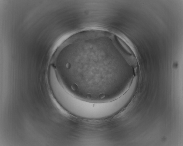 X0000092031293200709271601