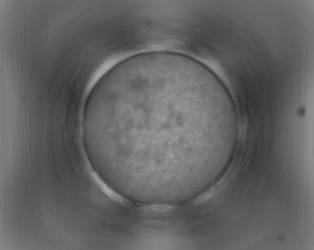 X0000092031294200709271601