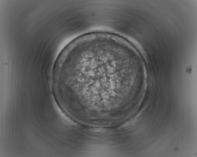 X0000092031295200709271601