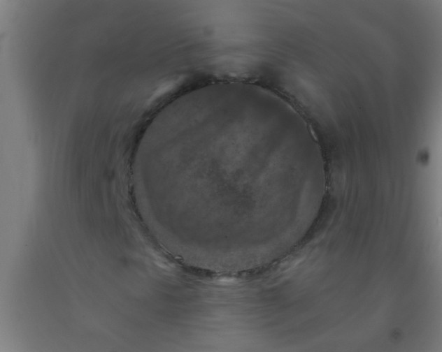 X0000092031297200709271601