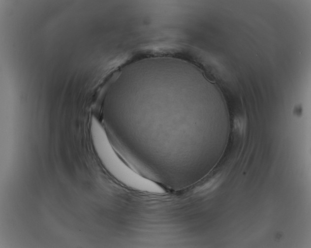 X0000092031300200709271601