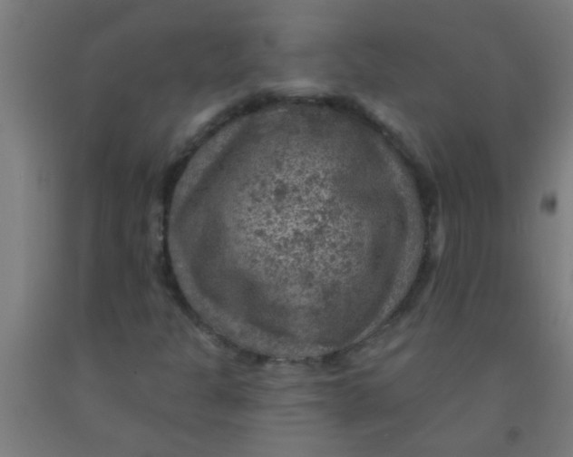 X0000092031301200709271601