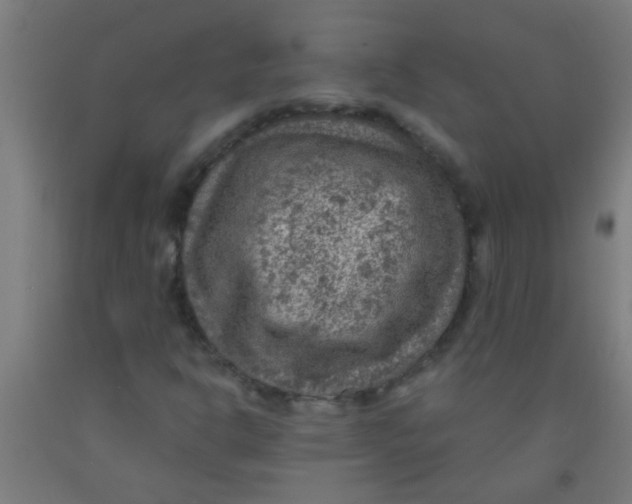 X0000092031302200709271601