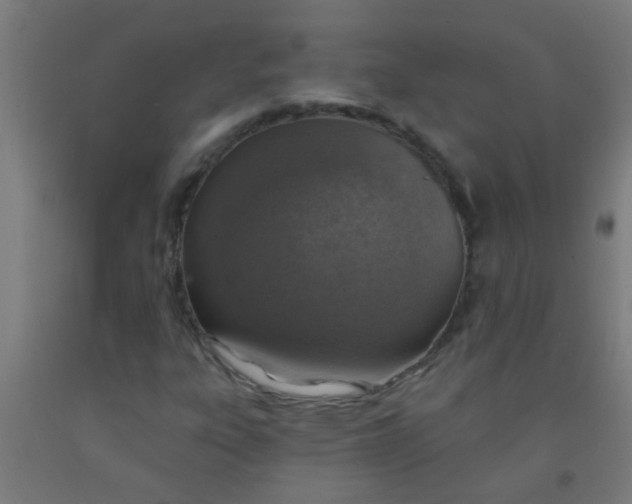 X0000092031303200709271601