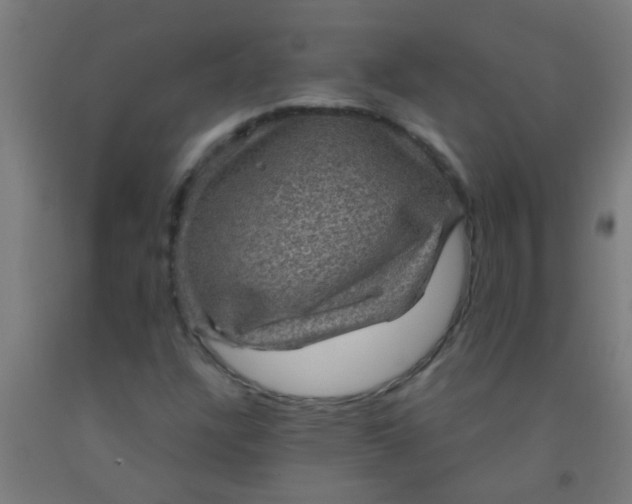 X0000092031304200709271601