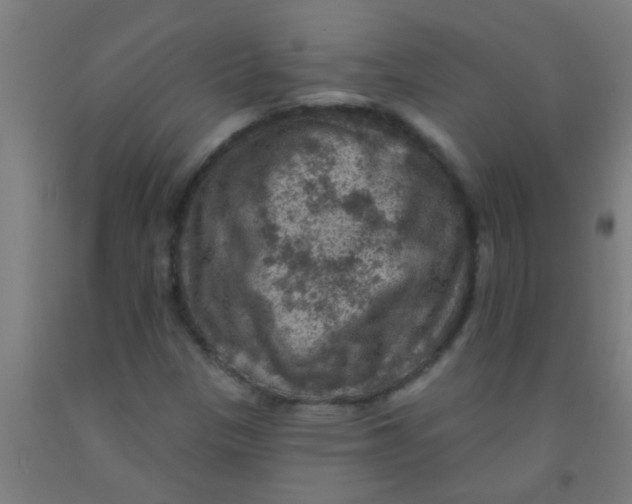 X0000092031305200709271601