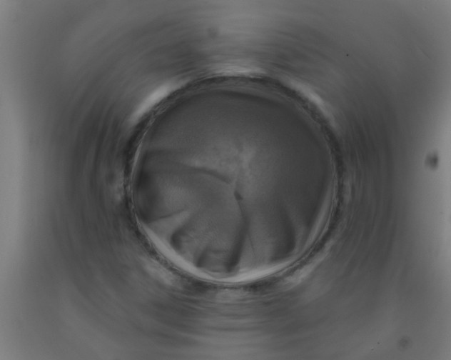 X0000092031306200709271601