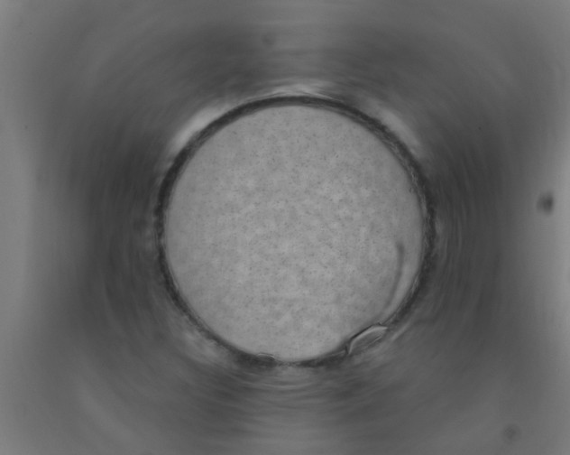 X0000092031308200709271601