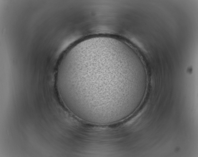 X0000092031309200709271601