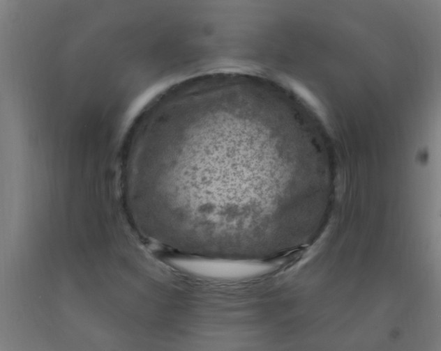 X0000092031310200709271601