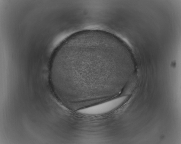 X0000092031311200709271601