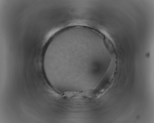 X0000092031312200709271601