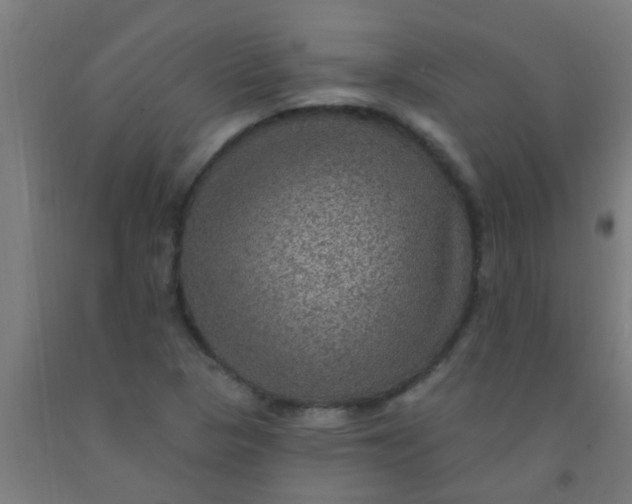 X0000092031313200709271601