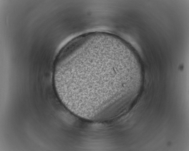 X0000092031316200709271601