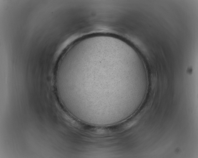 X0000092031318200709271601