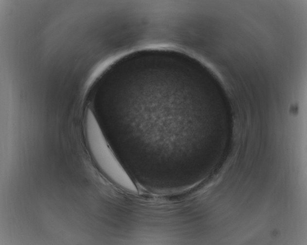 X0000092031319200709271601