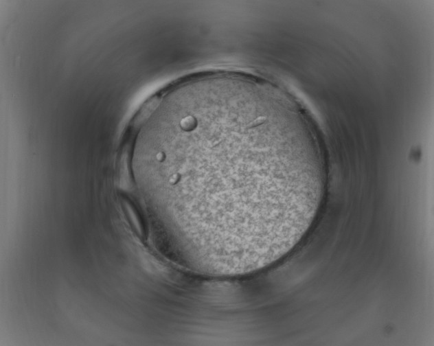 X0000092031320200709271601