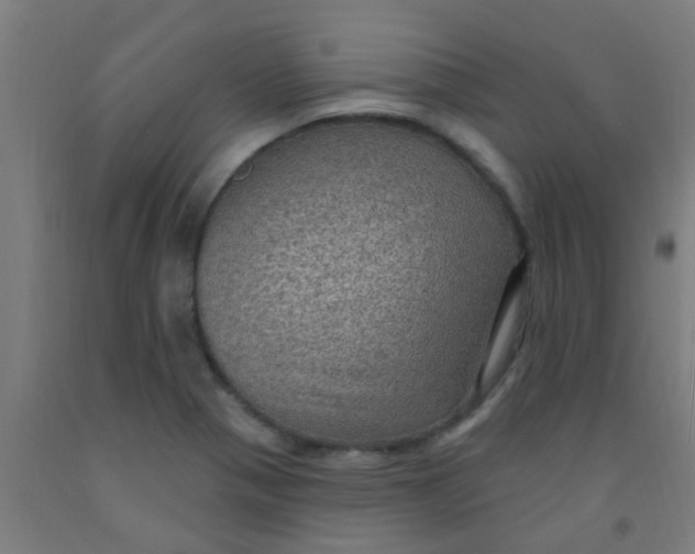 X0000092031321200709271601