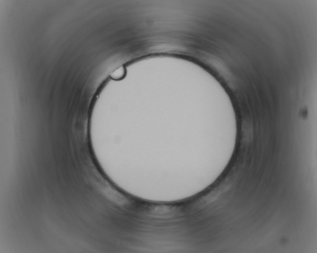 X0000092031322200709271601