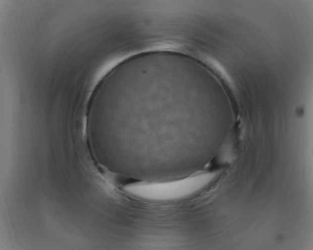 X0000092031324200709271601