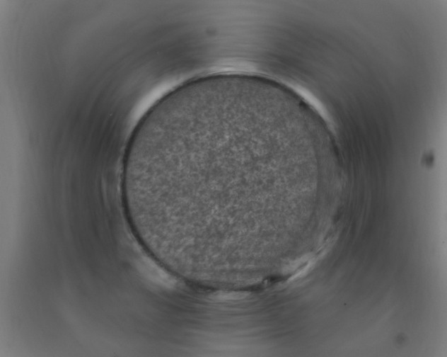 X0000092031325200709271601