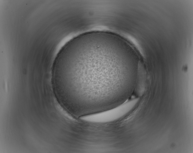 X0000092031326200709271601