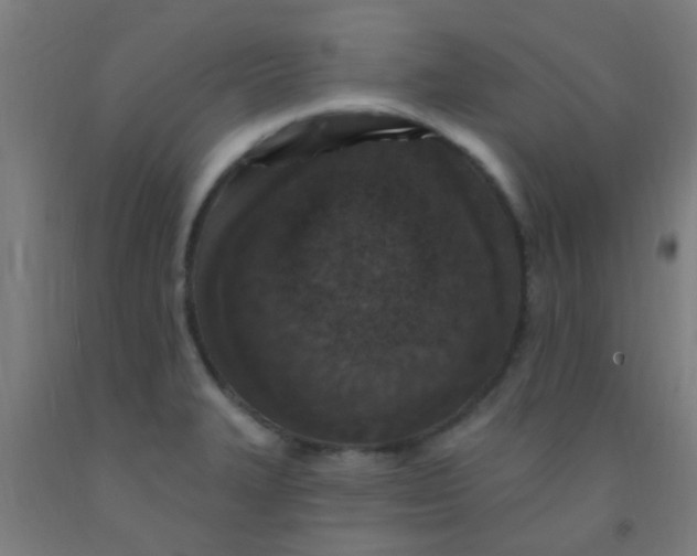 X0000092031327200709271601