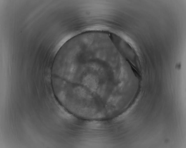 X0000092031329200709271601