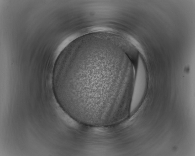 X0000092031330200709271601