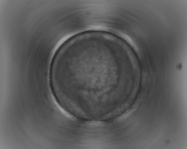 X0000092031331200709271601