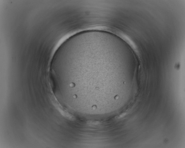 X0000092031332200709271601