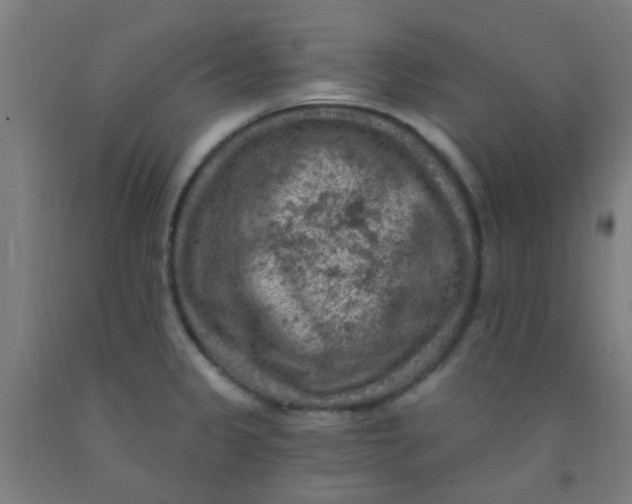 X0000092031333200709271601