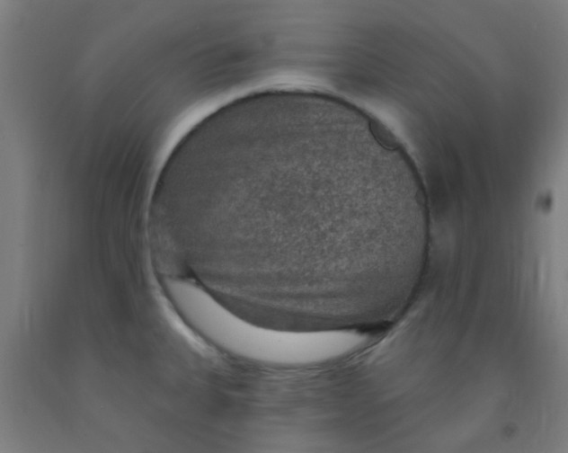 X0000092031335200709271601