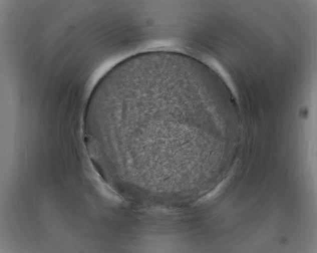 X0000092031336200709271601