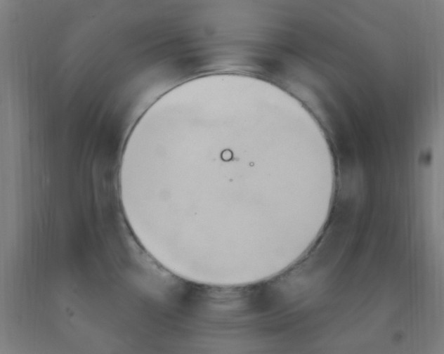 X0000092031338200709271601