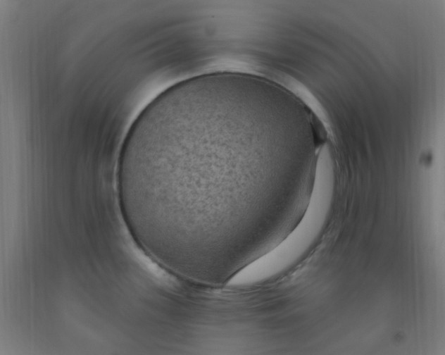 X0000092031339200709271601