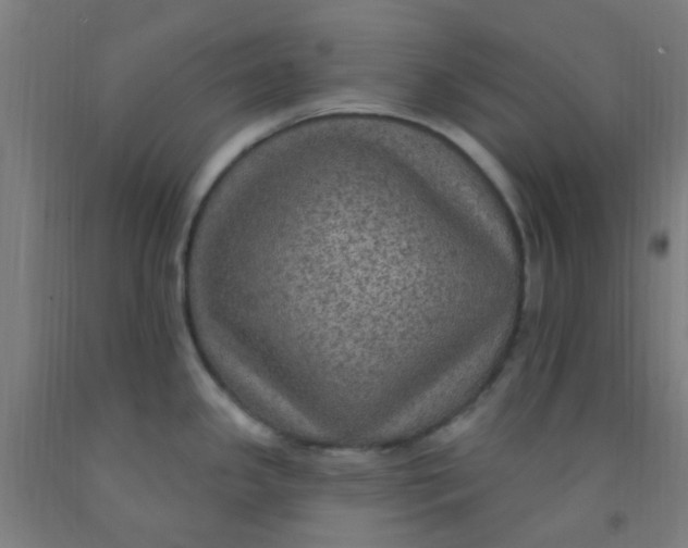 X0000092031341200709271601