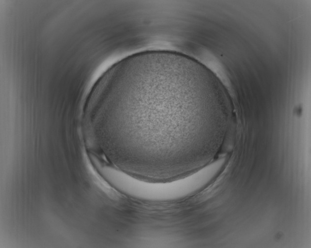 X0000092031342200709271601