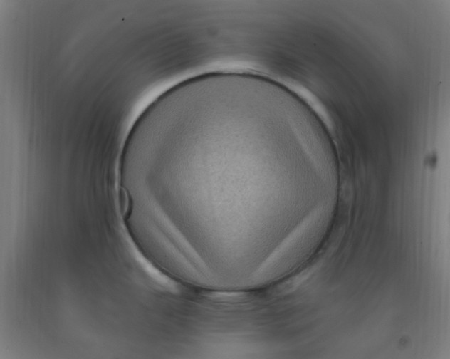 X0000092031343200709271601