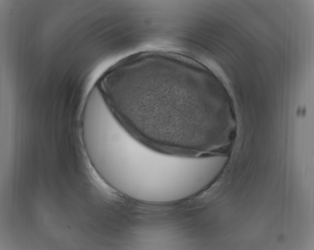 X0000092031344200709271601