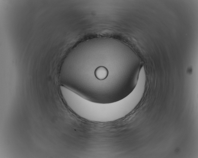 X0000092031345200709271601