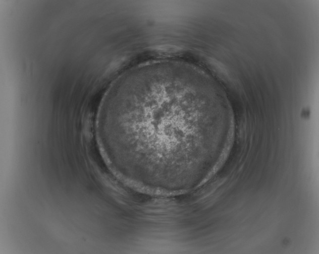 X0000092031346200709271601