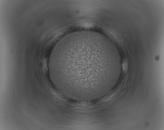 X0000092031347200709271601