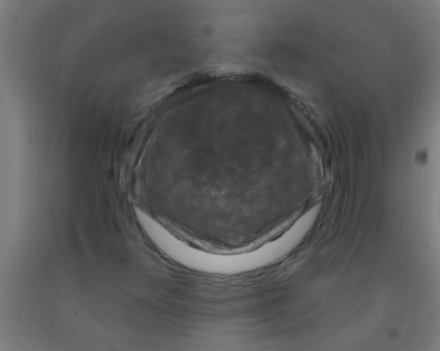 X0000092031348200709271601