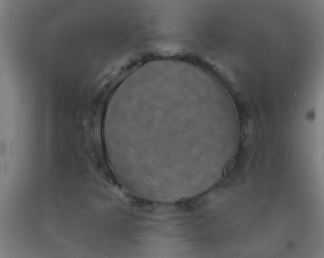 X0000092031349200709271601