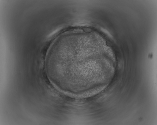 X0000092031350200709271601