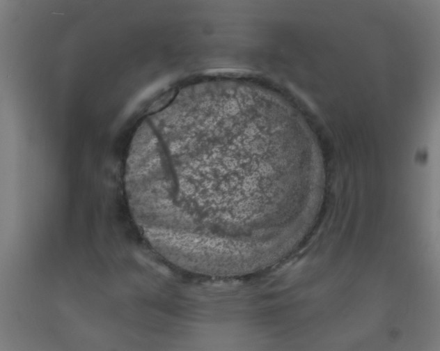 X0000092031351200709271601