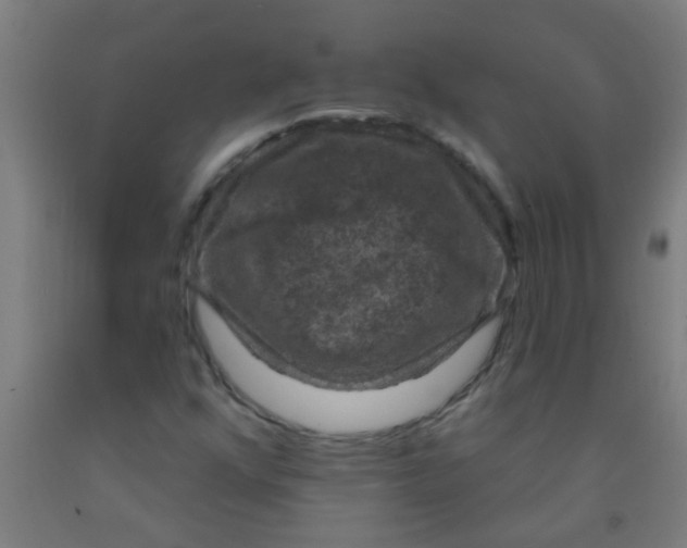 X0000092031352200709271601