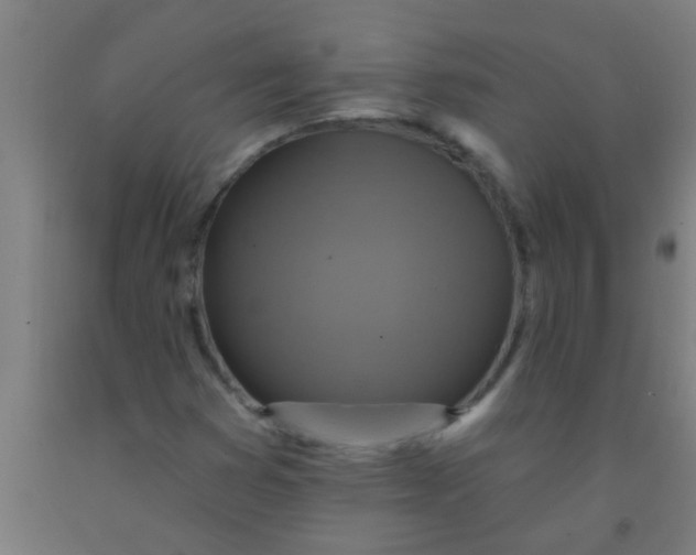 X0000092031353200709271601